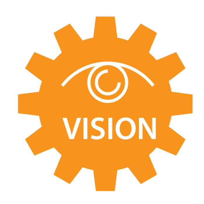 vision